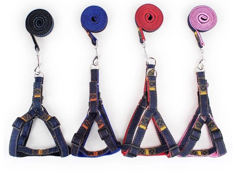 Harness Collar Leash Personalized Dog Harness and Dog Etsy