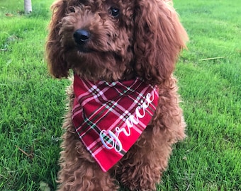 Può includere: Un piccolo cane marrone con il pelo riccio che indossa un bandana a quadri rosso e verde con il nome "Grace" ricamato. Il cane è in piedi sull'erba verde.