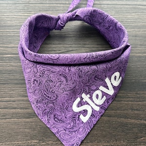 May include: Purple paisley dog bandana with the name "Steve" embroidered in white. The bandana is tied at the top and features a classic paisley pattern. The fabric is a vibrant purple.