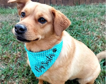 Personalized Dog Bandana: Polka Dot Cotton Tie, Embroidered Big Sister/Brother