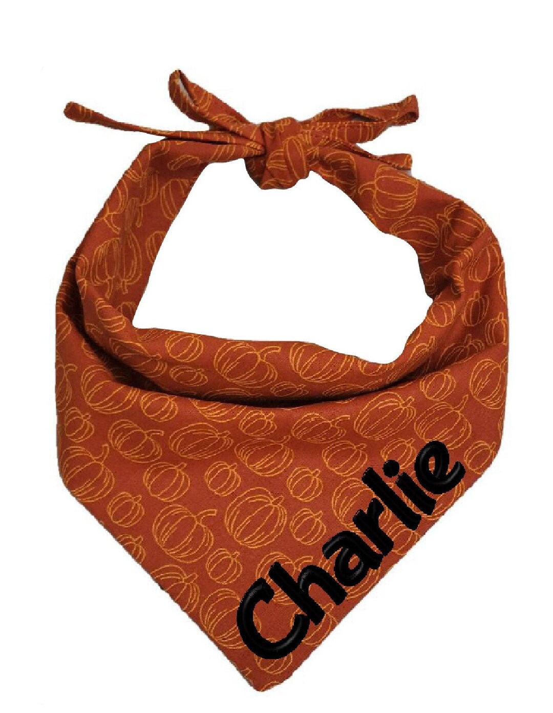 thumbnail image 2 of Spooky Pumpkin Halloween Dog Bandana - Dudiedog 2 of 13