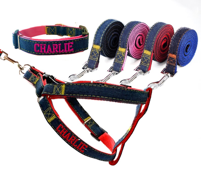 Harness Collar Leash Personalized Dog Harness and Dog Etsy