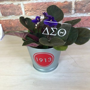 Peut inclure: Une petite plante en pot avec des fleurs violettes et des feuilles vertes. Un panneau en acrylique transparent avec le texte "ΔΣΘ" est placé dans le pot. Le pot est argenté avec un cercle rouge qui dit "1913".