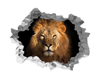 stickers muraux 3d stickers muraux chambre Autocollant personnalis/é nomm/é Roi Roi Lion par Simba pour la chambre de b/éb/é de chambre denfants de gar/çons