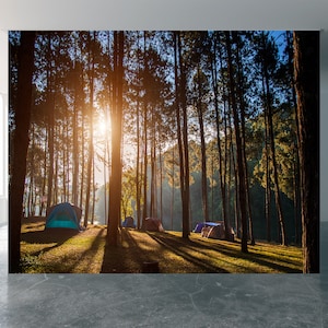 Camping between Trees Scenery View Wall Mural Wallpaper Wall Art Peel & Stick Self Adhesive Decor Textured Large Wall Art Print