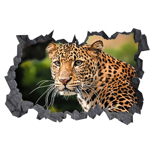 Wall Sticker Jaguar Wild Life 3D Hole in The Wall C Effect Art Decal Mural