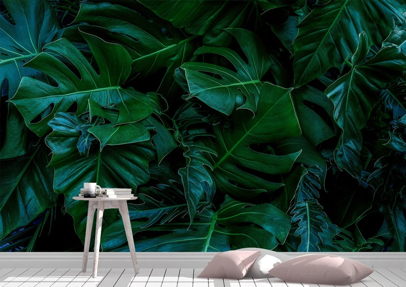 Monstera Leaves Wall Mural Wallpaper Wall Art Peel and Stick - Etsy UK