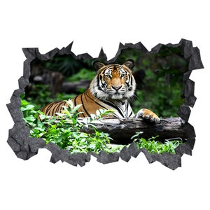Wall Sticker Tiger In Nature Field 3D Hole in The Wall C Effect Wall Sticker Decal Mural