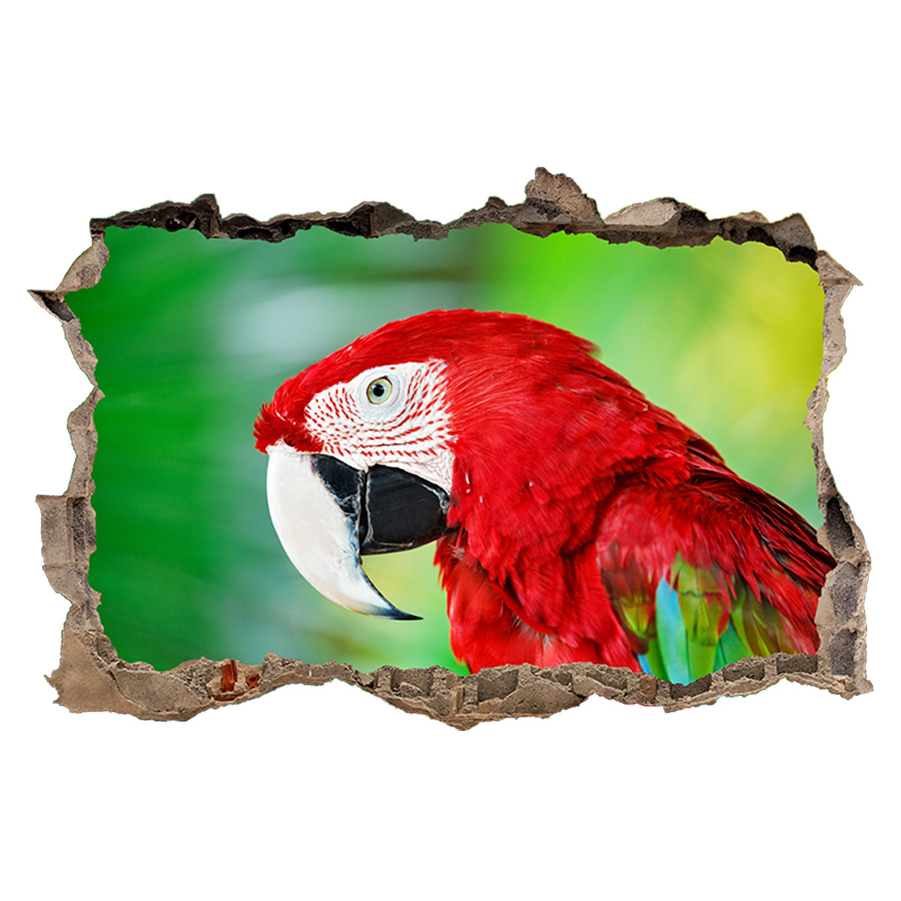 Wall Sticker Red Parrot Theme Nature 3D Hole in the Wall Etsy UK