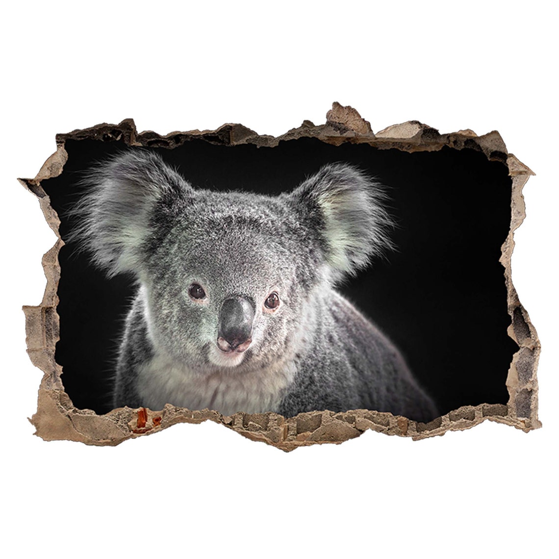Wall Sticker Koala Animal Pose Nature 3D Hole in the Wall Etsy UK