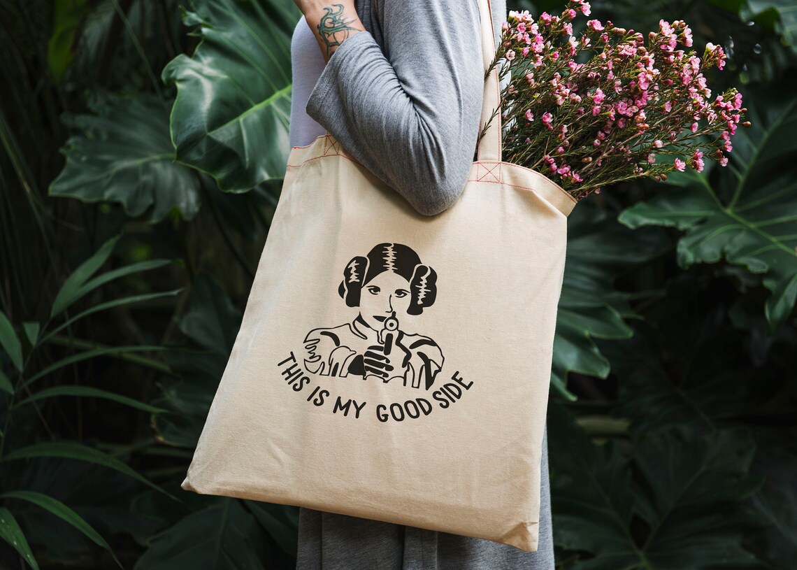 Download Princess Leia SVG Silhouette svg This is my Good Side Star ...