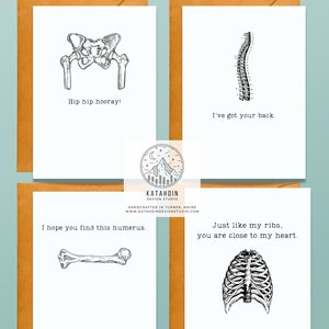 Bone Pun Greeting Cards, Pun Card, Card Bundle, Pun Note Cards