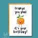 Orange You Glad It's Your Birthday Food Pun Card Birthday Card BD13 - Etsy