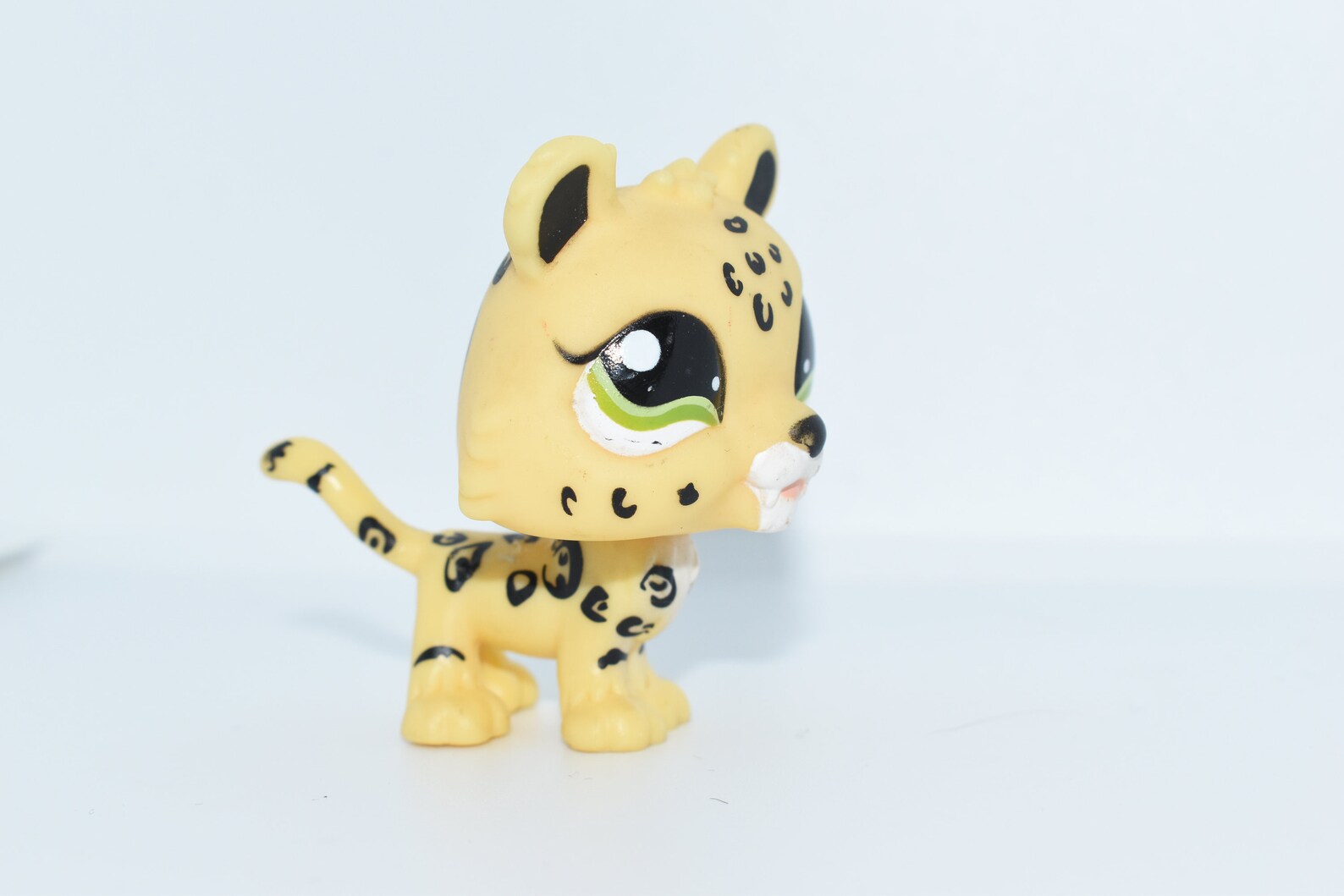 lps leopard shorthair
