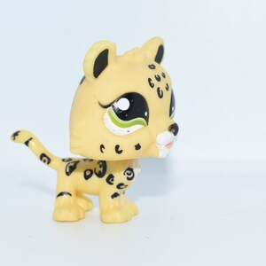 lps leopard shorthair