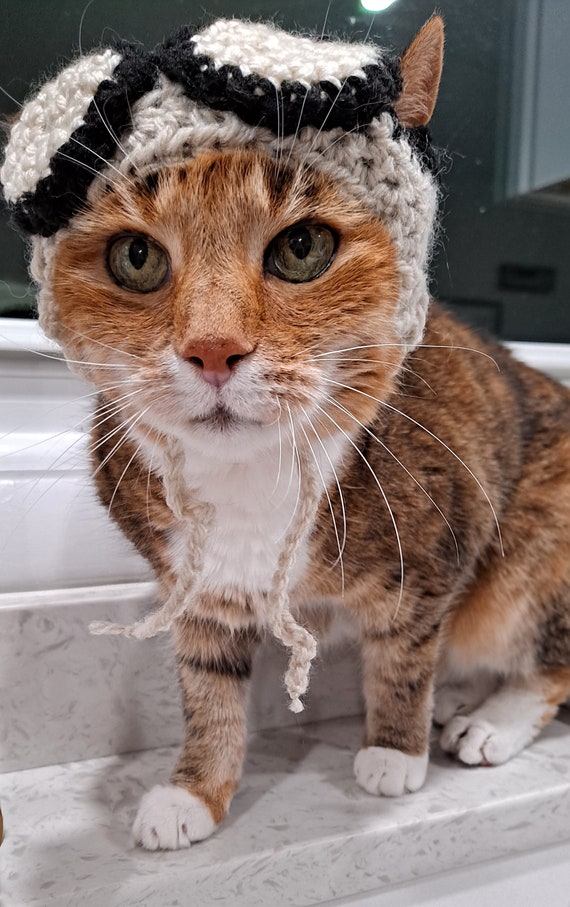Aviator Hat for Cats Taupe | Etsy