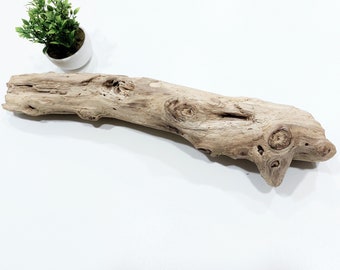 Large Driftwood Branch / Old Rustic Tree Branch Craft Supplies / Unique Drift Wood Piece / Large Driftwood Piece Home Decor