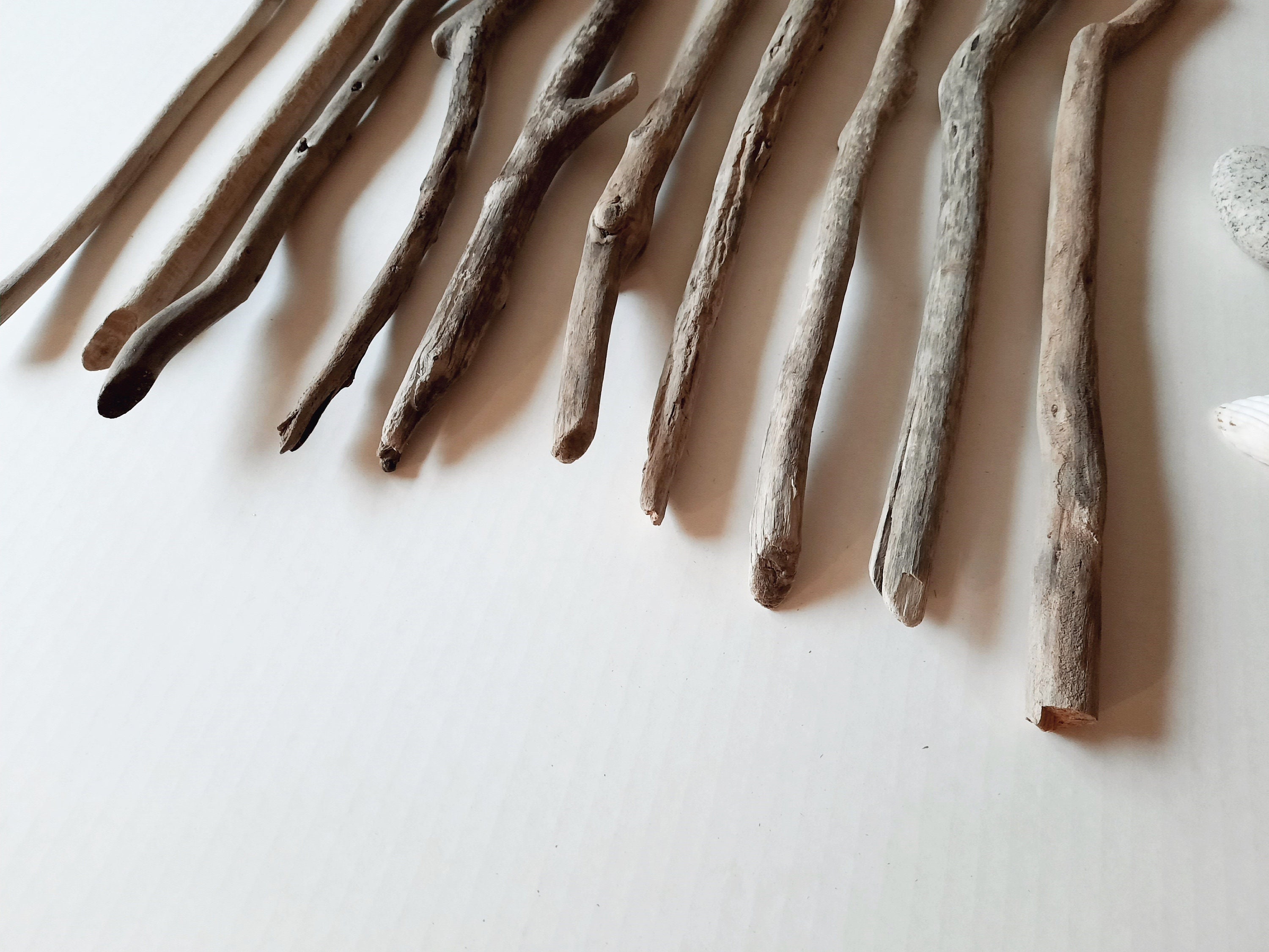 10 Driftwood Branches 12 14.5 / Driftwood Etsy