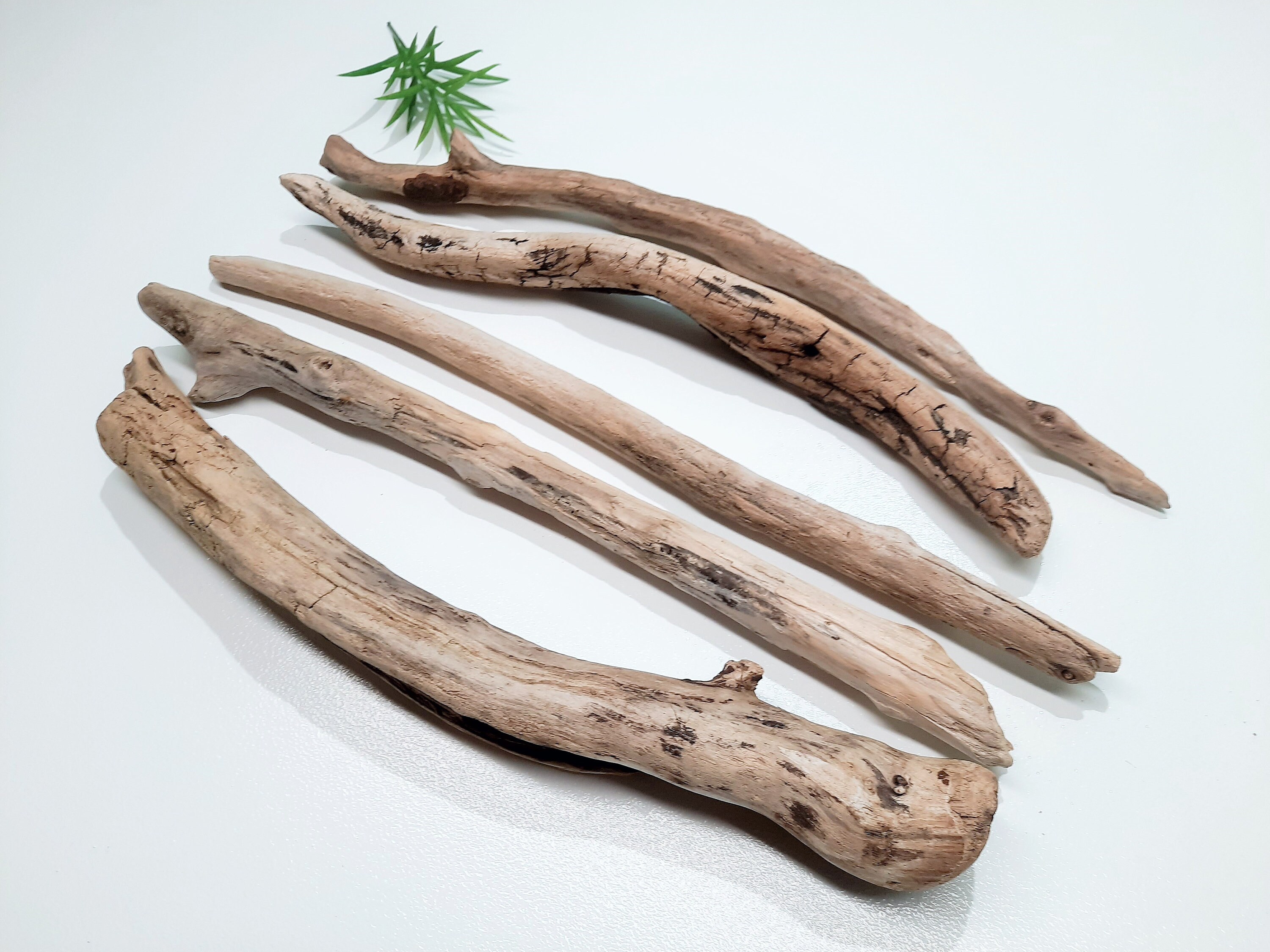 5 pcs Driftwood Branches for Macrame / Drift Wood Branches / Etsy
