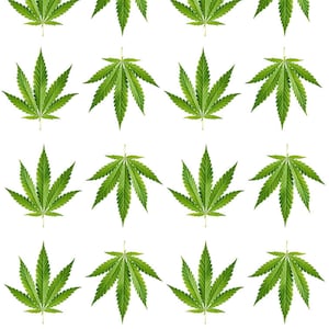 Graphique de tatouage artistique sur le cannabis au néon