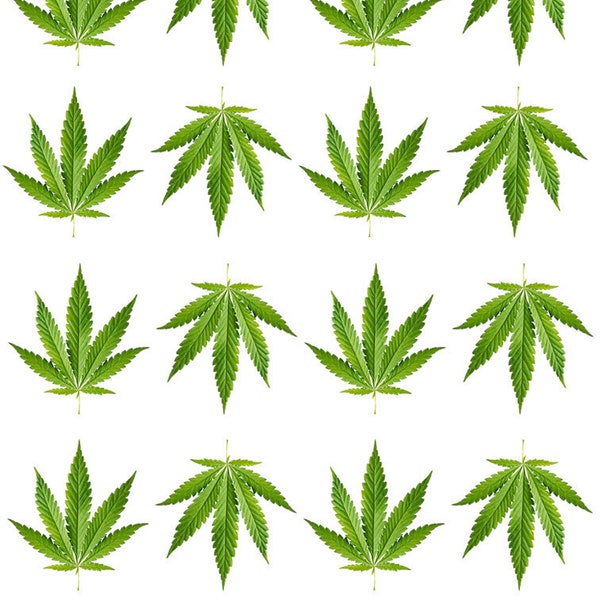 Set of Cannabis Temporary Tattoo marijuana plant leaf patch Weed Waterproof hemp Rasta body art