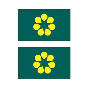 Könnte beinhalten: Zwei grüne Flaggen mit einem gelben, stilisierten Blumendesign. Die Blume hat acht Blütenblätter und einen fünfzackigen Stern in der Mitte.