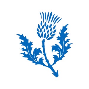 May include: A blue silhouette of a thistle flower with a single stem and two leaves.