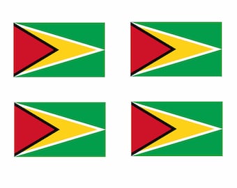 Set di 4 trasferibili termoadesivi con bandiera della Guyana per tessuti lavabili in lavatrice