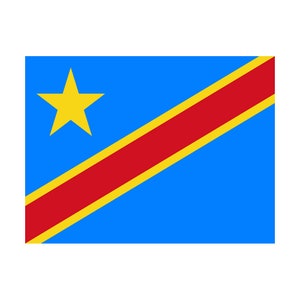 Set of 2 x Democratic Republic of the Congo Flag Iron on Screen Print for fabric Machine Washable Transfer DRC Flag