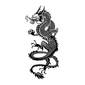 May include: A black and white illustration of a dragon. The dragon is depicted in a vertical pose with a detailed, scaled body, sharp claws, and a fierce expression. The dragon's tail curves gracefully.