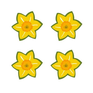 Könnte beinhalten: Vier gelbe Narzissen mit grünen Blättern. Die Narzissen haben jeweils sechs Blütenblätter und eine gelbe Mitte.