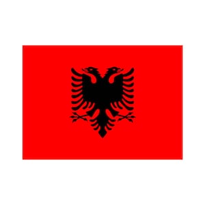 Set of 2 x Albania flag Iron on Screen Print for fabric Machine Washable Transfer Albanian Flag