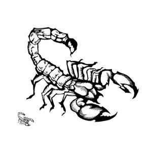 2 x Scorpion Semi Permanent Tattoo Waterproof Lasts 1 - 2 weeks