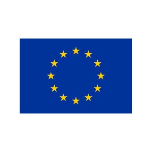 May include: The European Union flag is a blue rectangle with a circle of twelve gold stars in the centre.