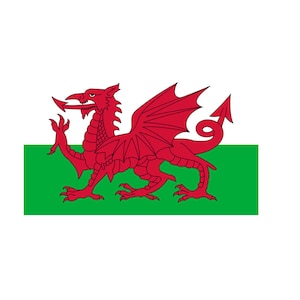 May include: The flag of Wales features a red dragon with wings outstretched on a green and white background.