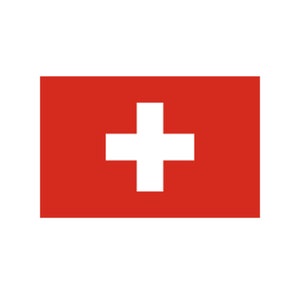 Set of 2 Swiss Flag Iron on Screen Print Transfers for Fabrics Machine Washable Switzerland Flag patch