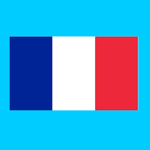 Set of 2 France Flag Iron on Screen Print Transfers for Fabrics Machine Washable French Flag patch