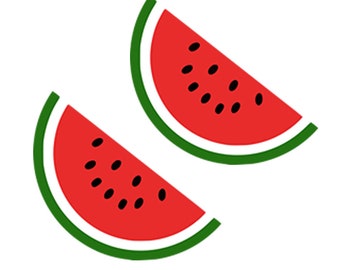 Set of 2 x Watermelon Iron on Transfer for fabric free Palestine