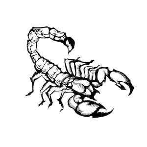 Scorpion Temporary Tattoo neck face arm hand body art Arachnid