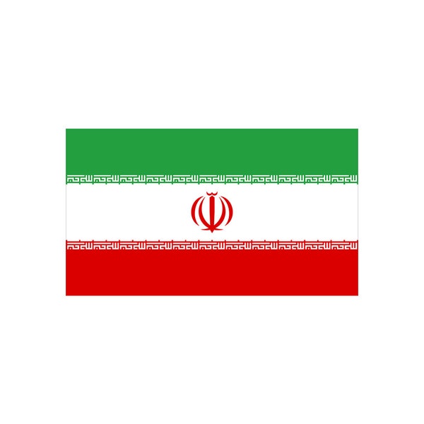 Set van 2 Iran Flag Iron op Screen Print Transfers voor Stoffen Machine Wasbare Iraanse vlag patch