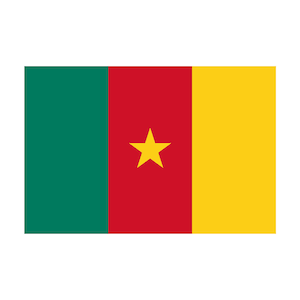 May include: The flag of Cameroon features three vertical stripes: green on the left, red in the middle, and yellow on the right. A yellow five-pointed star is centered on the red stripe.