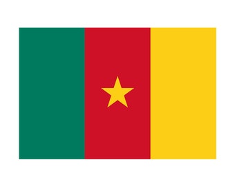 Zestaw 2 x Kamerun Flaga Żelazko Na Sitodruku Na Tkaninę Można Prać W Pralce Transfer Kamerun Flaga