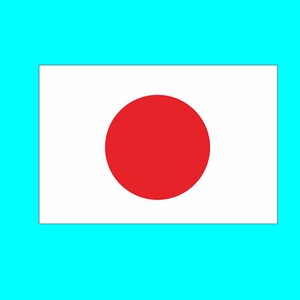 May include: A white flag with a large red circle in the centre. The flag is a representation of the Japanese flag.