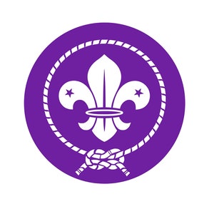 Conjunto de 2 x Scouts Hierro en la insignia de impresión de pantalla para tela máquina lavable Scout parche