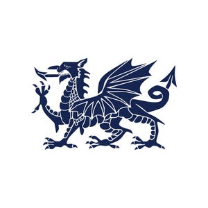 May include: A blue silhouette of a dragon with wings spread wide and a curled tail. The dragon is facing left and has a fierce expression.