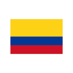 Set of 2 x COLOMBIAN FLAG Iron on Screen Print Transfers for Fabrics Machine Washable patch COLOMBIA
