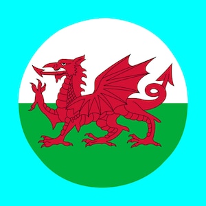 May include: A red dragon with wings and a long tail on a white, green, and red circular flag.