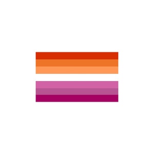 May include: A lesbian pride flag with orange, peach, pink, and purple stripes.