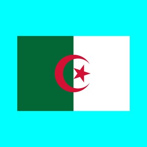 May include: The flag of Algeria is a green and white rectangle with a red crescent moon and star in the center.