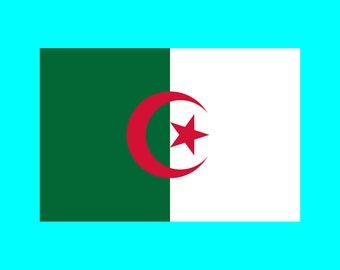 ECUSSON DRAPEAU ALGÉRIE 3D EUR 7,90 - FR